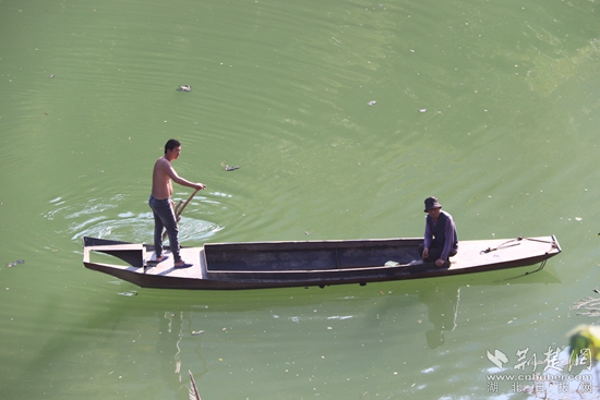 乘船出行、打魚(yú)至今都是盤山村民生活的一部分 黃錚 攝_副本.jpg