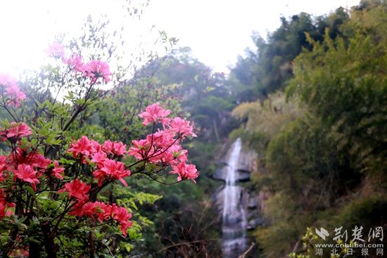 黃龍山頂，風景如畫 黃錚 攝_副本.jpg.jpg